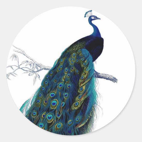 Vintage Blue Elegant Colorful Peacock Classic Round Sticker