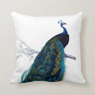 VG Productions Pink Peacock Tail Feathers Beautiful Bird Design Throw Pillow 16x16 Multicolor 