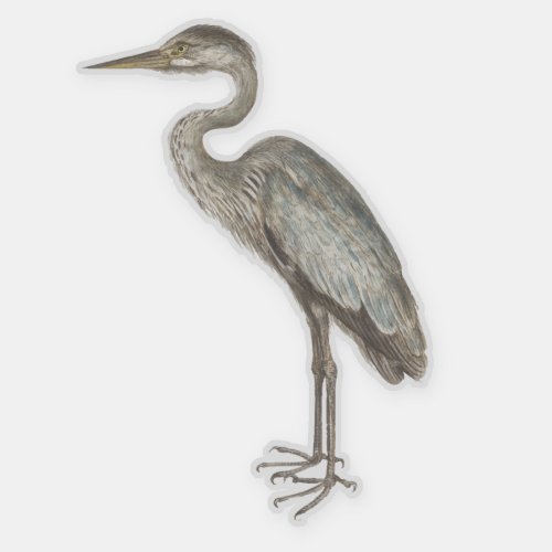 Vintage Blue Heron bird illustration Sticker
