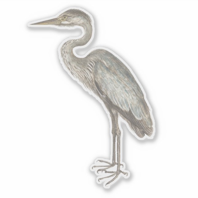 Vintage Blue Heron bird illustration Sticker (Front)
