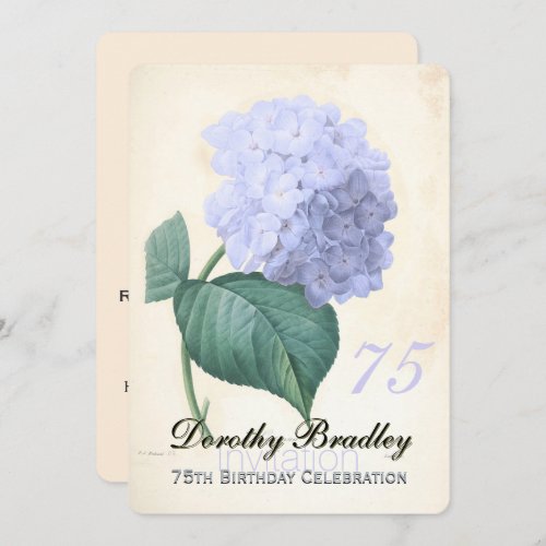 Vintage Blue Hydrangea 75th Birthday Celebration 2 Invitation