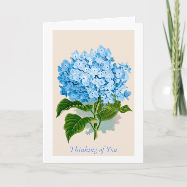 Vintage Blue Hydrangea Bloom Thinking of You Card (Front)
