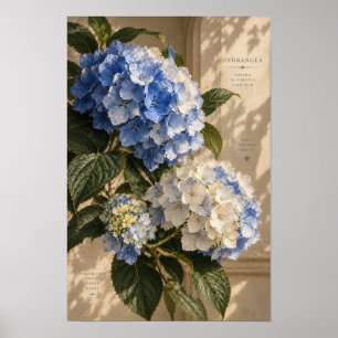Vintage Blue Hydrangea Floral Wall Art