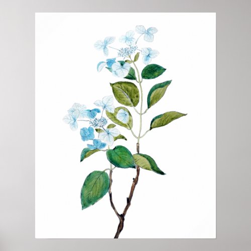vintage blue hydrangea flowers poster