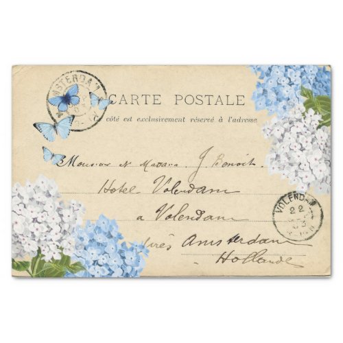 Vintage Blue Hydrangea Paris Postcard Tissue Paper