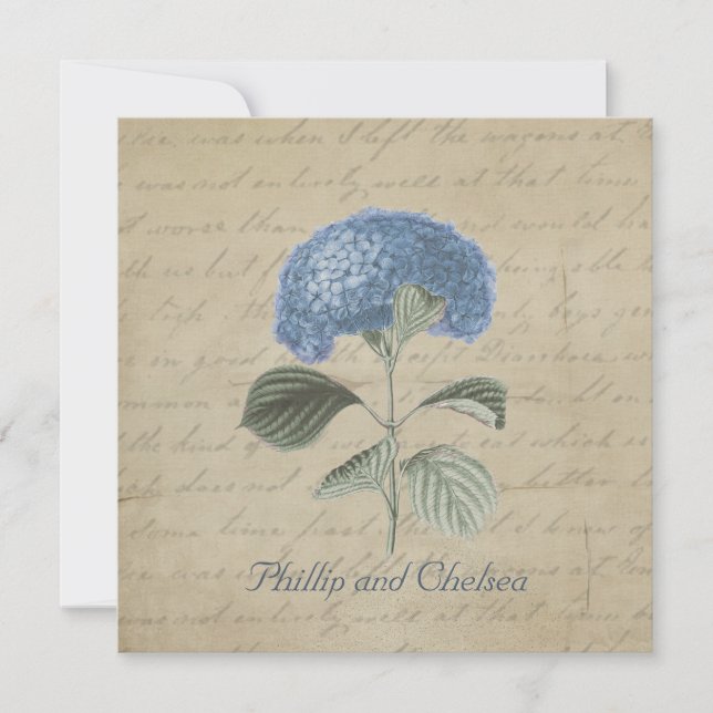 Vintage Blue Hydrangea Wedding Invitation (Front)