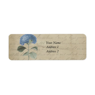 Vintage Blue Hydrangea with Antique Calligraphy Label