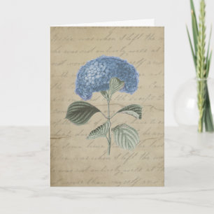 Vintage Blue Hydrangea with Antique Calligraphy Letterpress Thank You Card