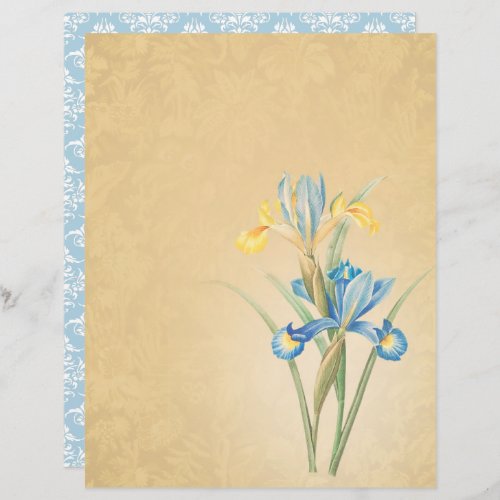 Vintage Blue Iris Scrapbook Paper _ Marple Hall