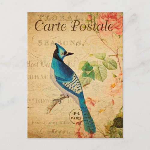 Vintage Blue Jay Bird Floral Flowers French Postcard