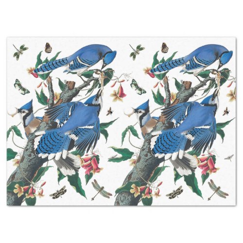 Vintage Blue Jay Birds Collage Pattern  Tissue Paper