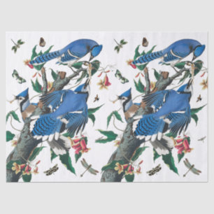 Vintage Blue Jay Birds Collage Pattern. Tissue Paper