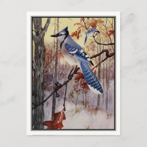 Vintage Blue Jay by Robert Bruce Horsfall Postcard
