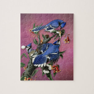 Vintage Blue Jays Illustration (Audubon) Jigsaw Puzzle