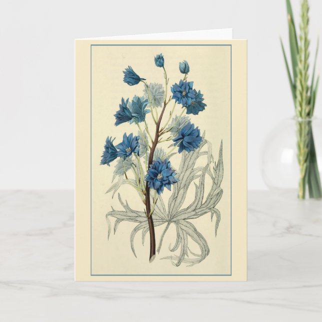 Vintage Blue Larkspur Flower Card (Front)