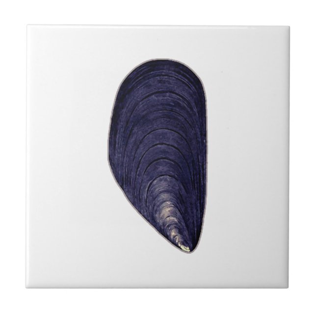 Vintage Blue Mussel Ceramic Tile (Front)