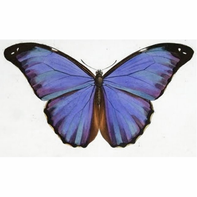 Vintage Blue Purple Butterfly Statuette (Front)