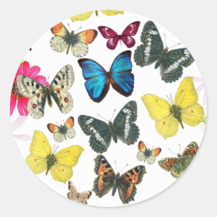 Vintage Blue Red Yellow Colorful Butterflies Classic Round Sticker
