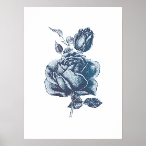 Vintage Blue Rose Drawing Poster