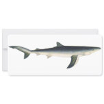 Vintage Blue Shark, Aquatic Ocean Marine Life