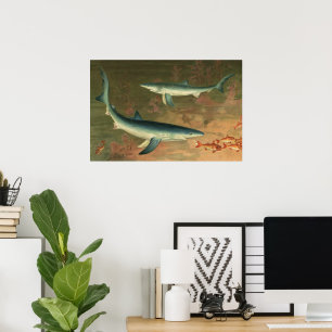 Vintage Blue Shark Eating Fish, Marine Life Poster