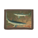 Vintage Blue Shark Eating Fish, Marine Life Tri-fold Wallet