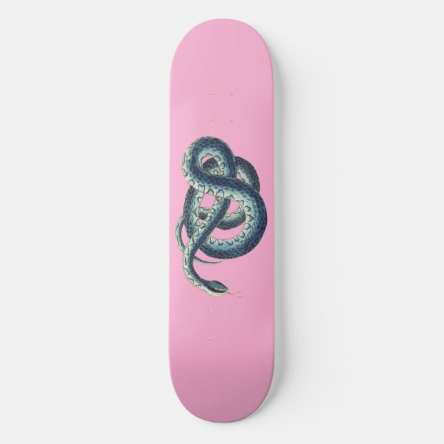 Vintage Blue Snake Illustration on Pink Skateboard (Front)
