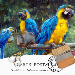 Vintage Blue Yellow Macaws Decoupage Tissue Paper