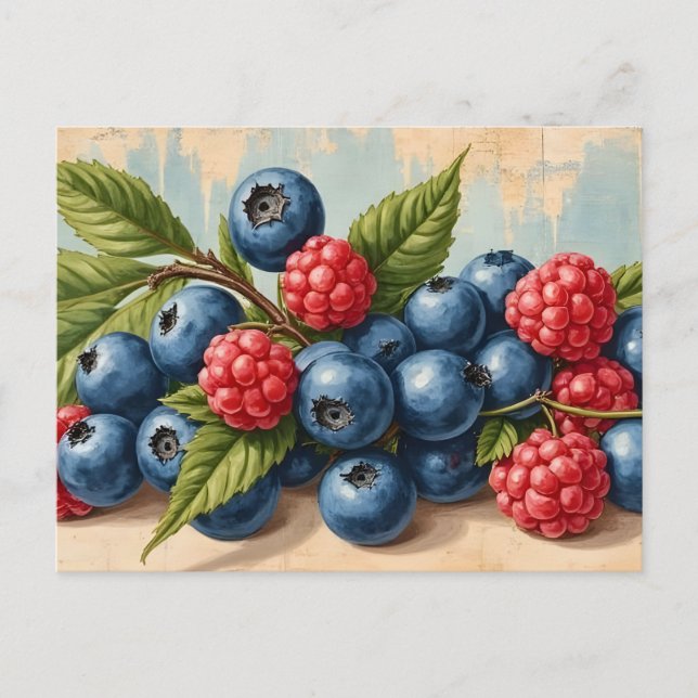Vintage Blueberries and Raspberries  Postcard (Front)