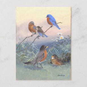 Vintage Bluebird and Robin Postcard