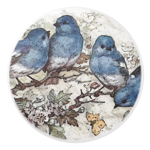 Vintage bluebird illustration cute birds nature ceramic knob