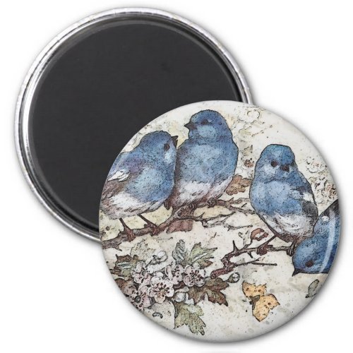 Vintage bluebird illustration cute birds nature  magnet