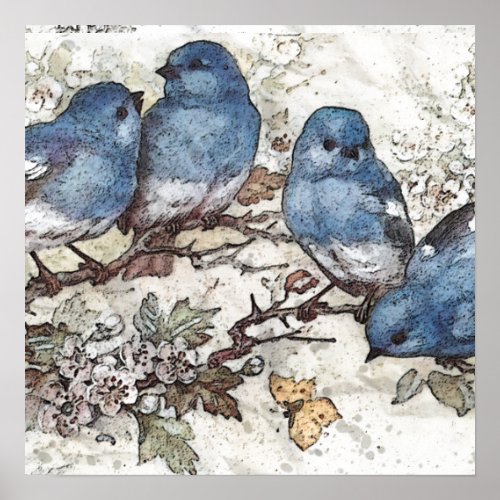 Vintage bluebird illustration cute birds nature  poster