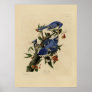 Vintage Bluebird Painting Poster