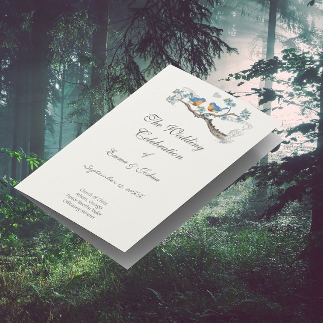 Vintage Bluebird  Program Cover (Creator Uploaded)