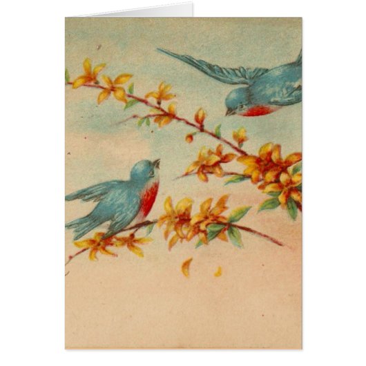 Vintage Bluebirds Cards (Front)