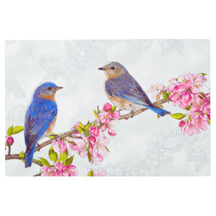 Vintage Bluebirds Metal Print