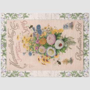 Vintage Blush Pink Yellow Sunflower Bees Botanical Tissue Paper