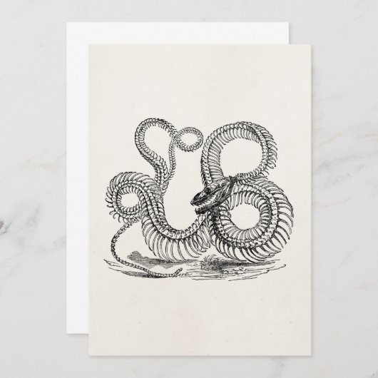 Vintage Boa Snake Skeleton Personalized Template (Front/Back)