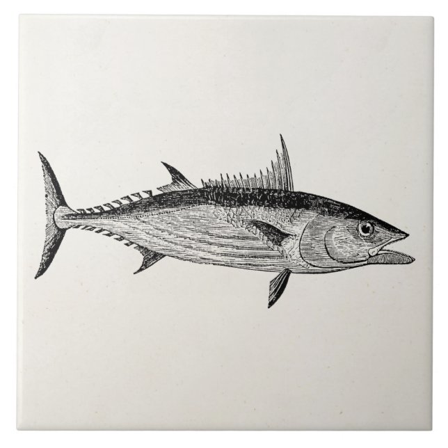 Vintage Bonito Fish - Aquatic Fishes Template Tile (Front)