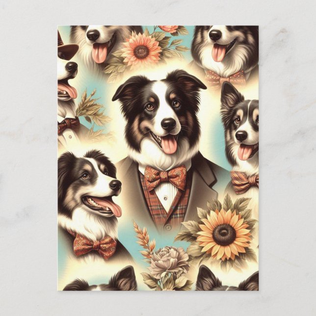 Vintage Border Collie Iluustration Postcard (Front)