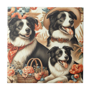 Vintage Border Collie  Painting Ceramic Tile