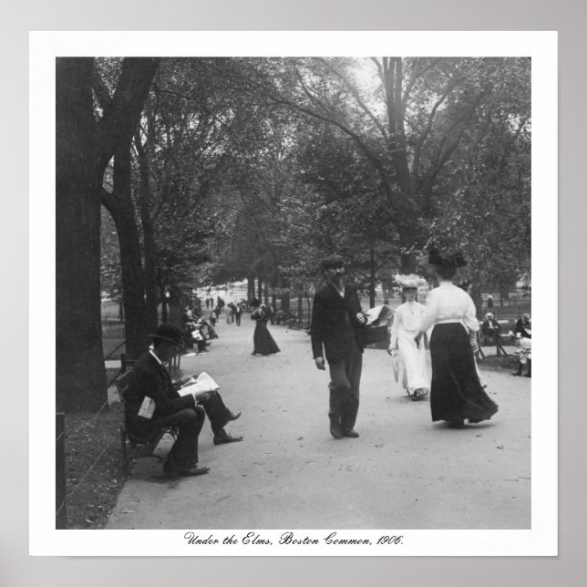 Vintage Boston Common, Under the Elms, USA Poster (Front)