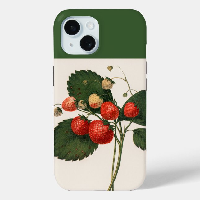 Vintage Boston Pine Strawberry  Case-Mate iPhone C Case (Back)