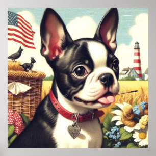 Vintage Boston Terrier Illustration Poster