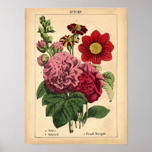 Vintage Botanical Autumn Fall Floral Print 1860 Poster