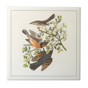 Vintage Botanical Bird Illustration Ceramic Tile
