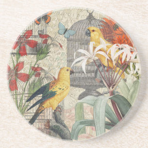 Vintage Botanical Bird Nature Antique Tropical Coaster