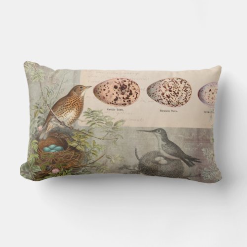 Vintage Botanical Birds Nest Eggs Gray Ephemera Lumbar Pillow