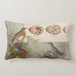Vintage Botanical Birds Nest Eggs Gray Ephemera Lumbar Pillow